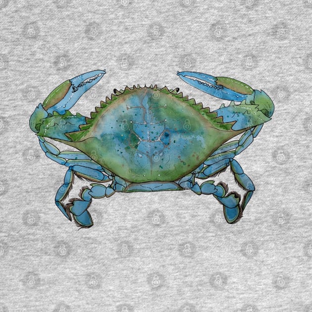 Blue Crab, Cancer by JJacobs